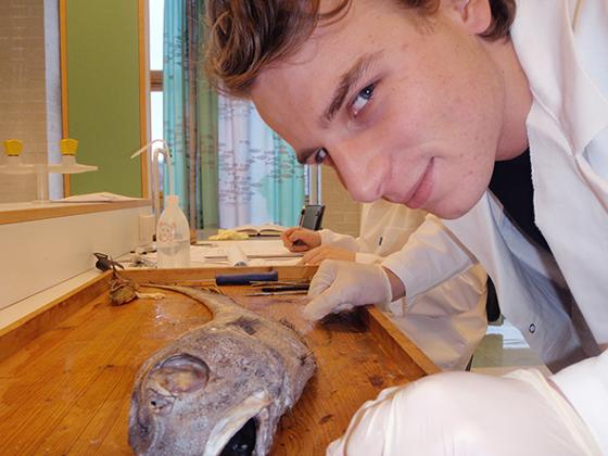 På lab_SimFish.jpg